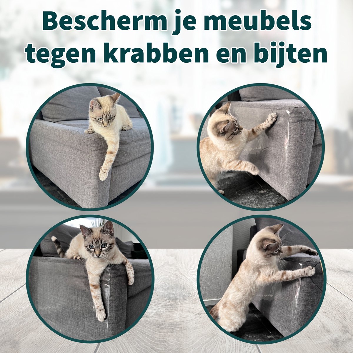 Kat Krabt Meubels: Oorzaken en Preventie