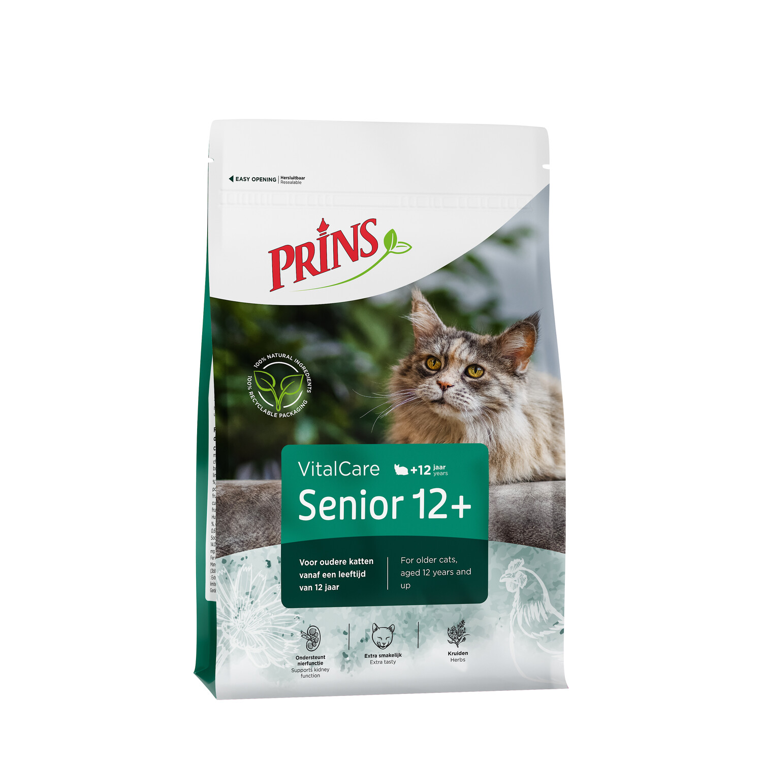 Voedingstips voor Oudere Katten
